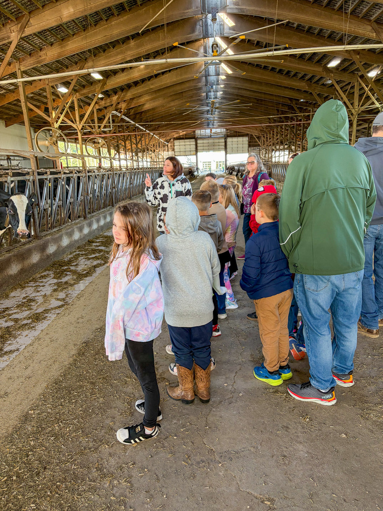 CES to Dairy