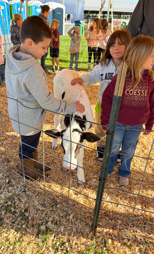 CES to Dairy