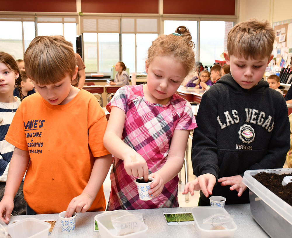 Second grade students are intent on their work as they plant grass seeds in small paper cups as part of an Agriculture in the Classroom activity on March 31, 2026.