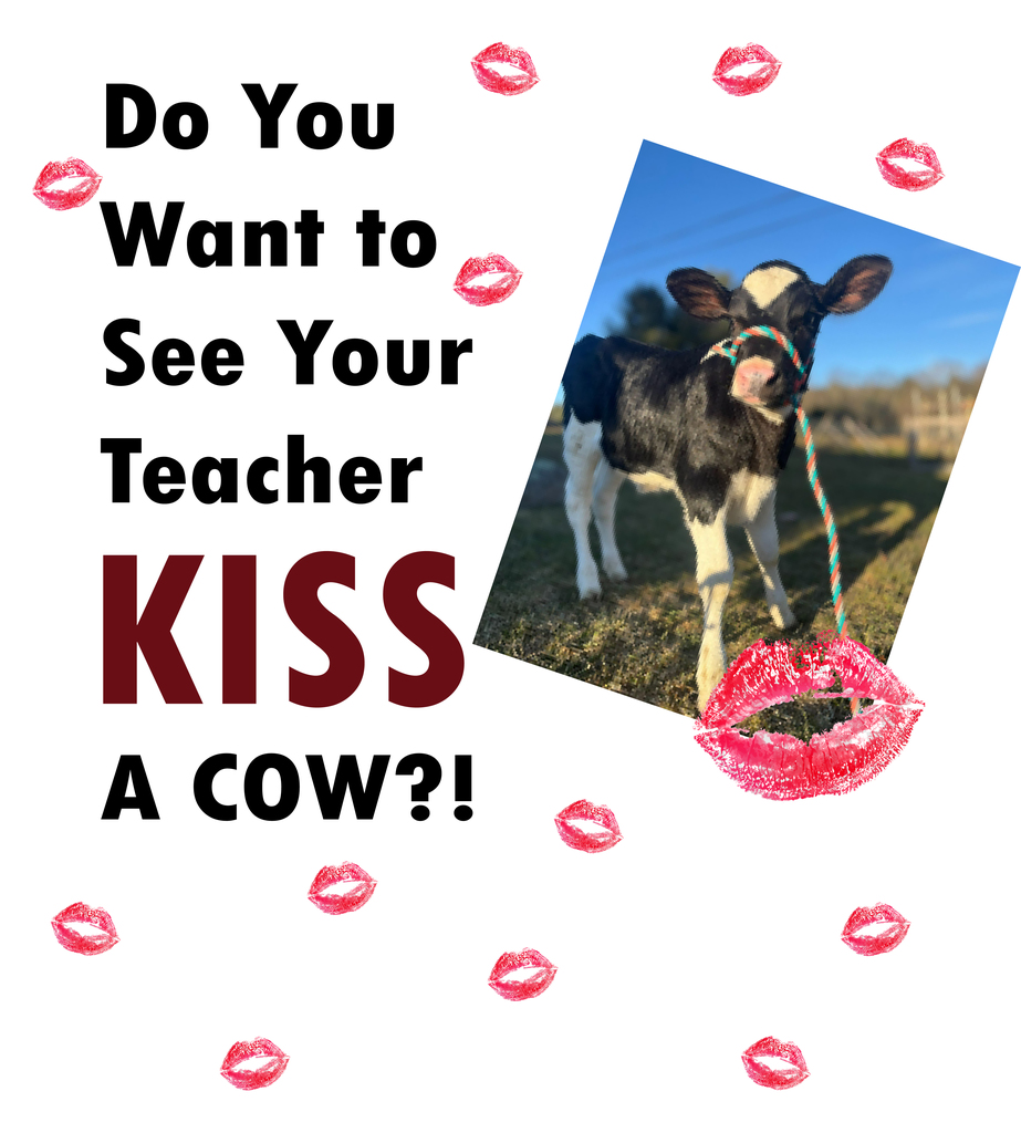 Do you want to see your teacher Kiss a Cow?!