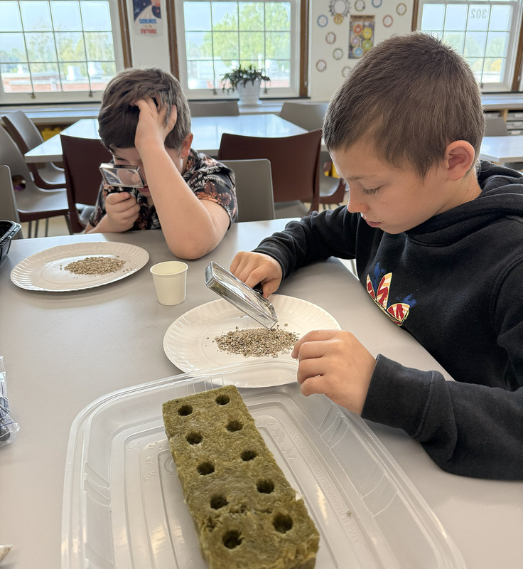 A fourth grader looks at seeds on a paper plate through a magnifying glass.