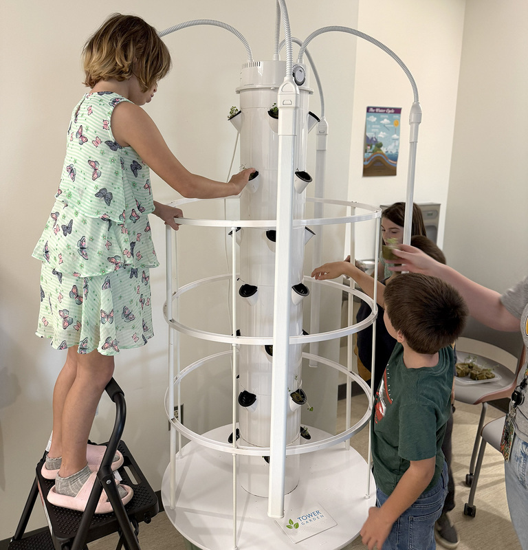 A fourth grader stands on a foot stool to tuck a lettuce seed pod into a top nook on the growing tower. 