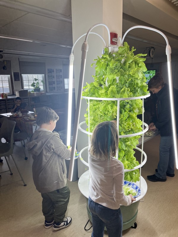 Students looking at the grow tower with its abundance of lettuce greens.