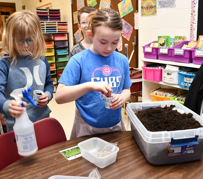 A C E A  second grader puts a seed of grass in a paper cup full of dirt.
