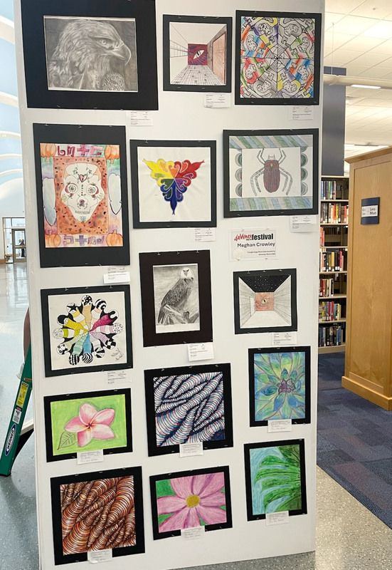 This board of artwork features drawings and paintings created by students at the Tioughnnioga Riverside Academy and is being display as part of the daVinci Art Show.