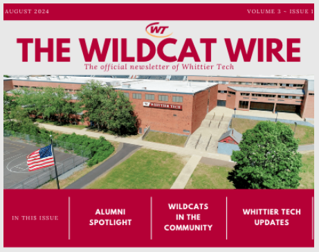 The wildcat wire