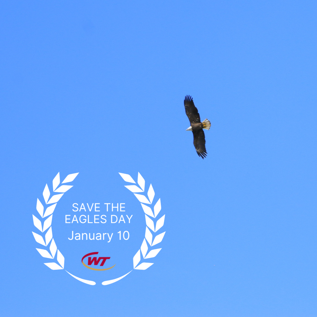 save the eagles