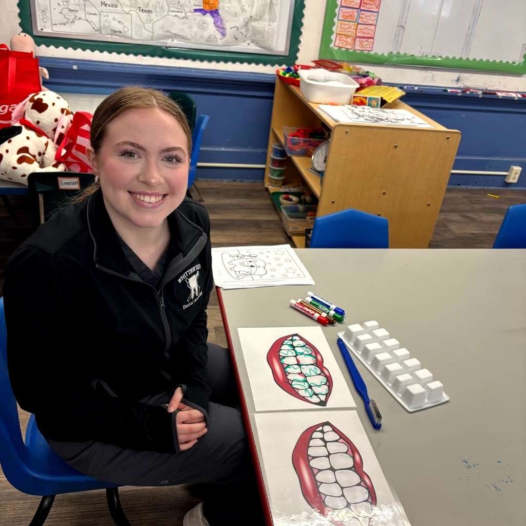 dental fundental fun