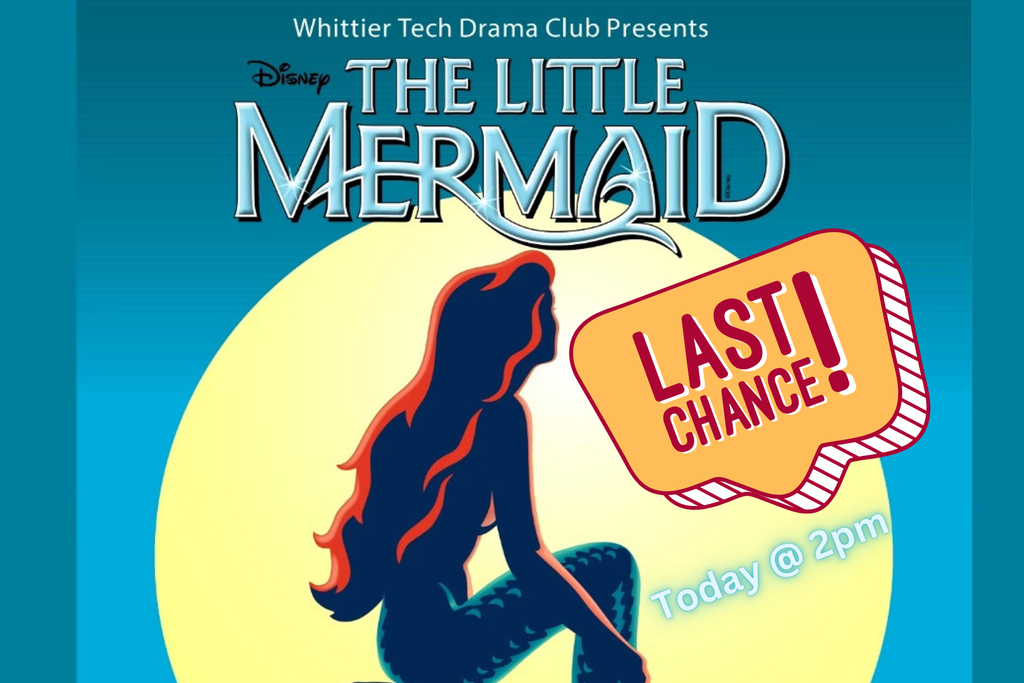 little mermaid
