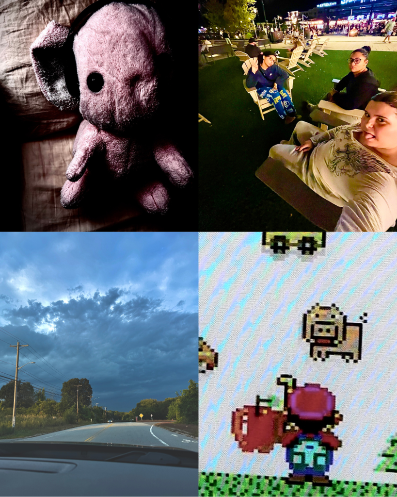 Visual Storytelling