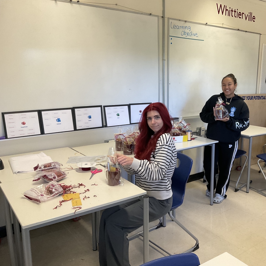 Business and Marketing Seniors