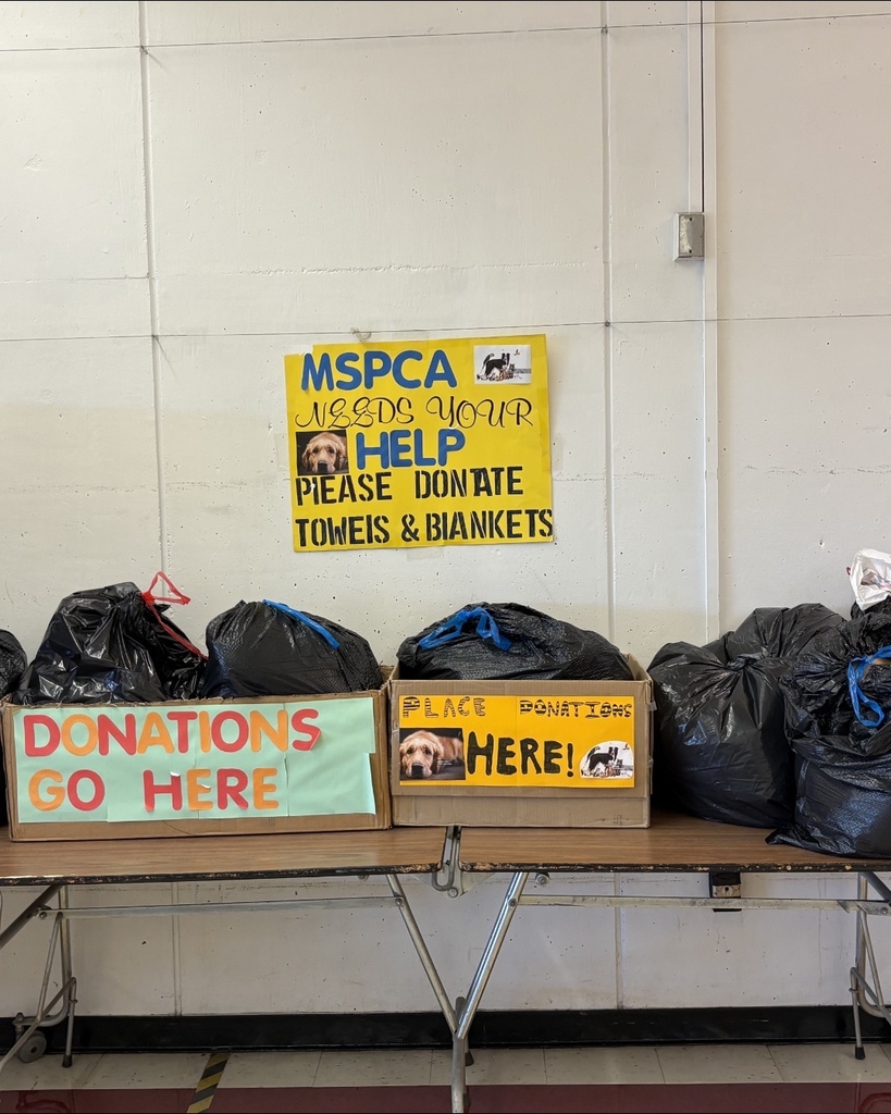 PeerToPeer MSPCA Donations