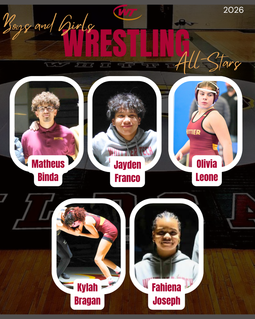 Winter Sports All Stars