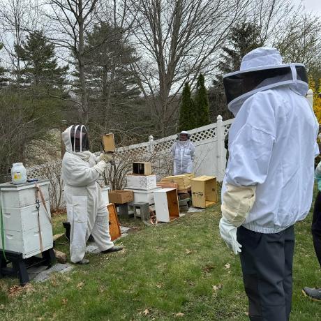 Adult Ed Bee Class