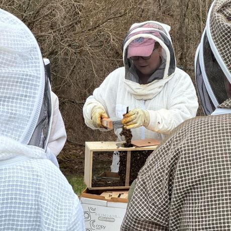 Adult Ed Bee Class