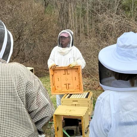 Adult Ed Bee Class