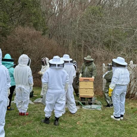 Adult Ed Bee Class
