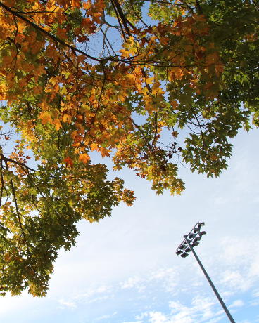 Fall photos