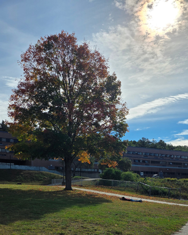 Fall photos