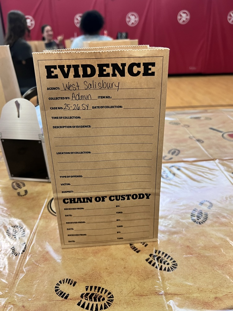 evidence bag 
