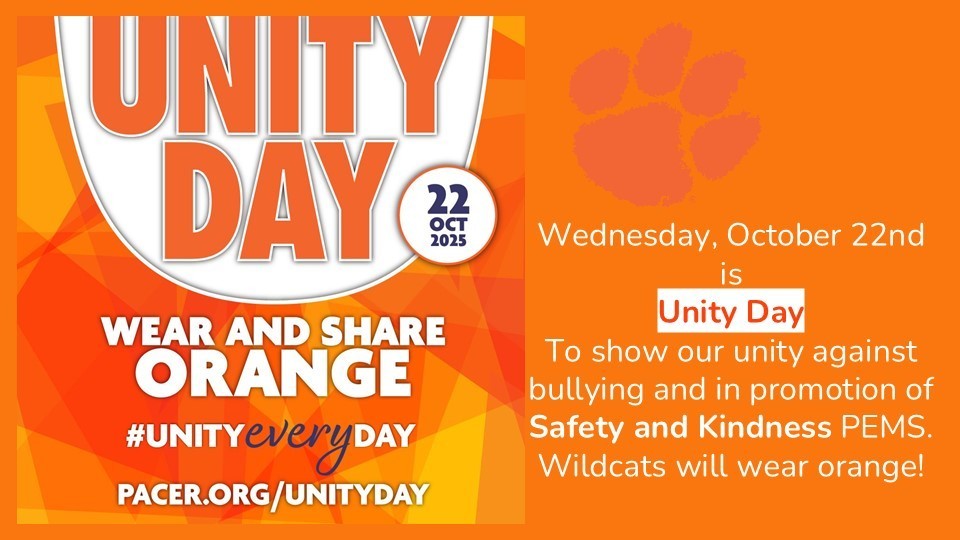 Unity Day-orange