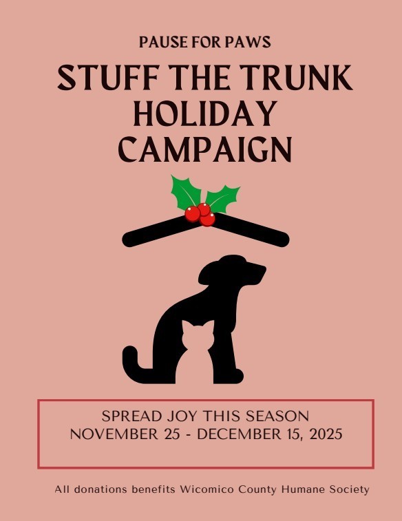 donation for animal stuff poster