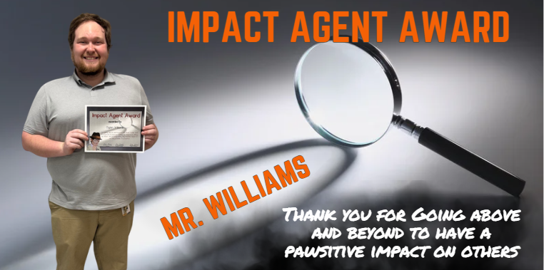 Impact Agent