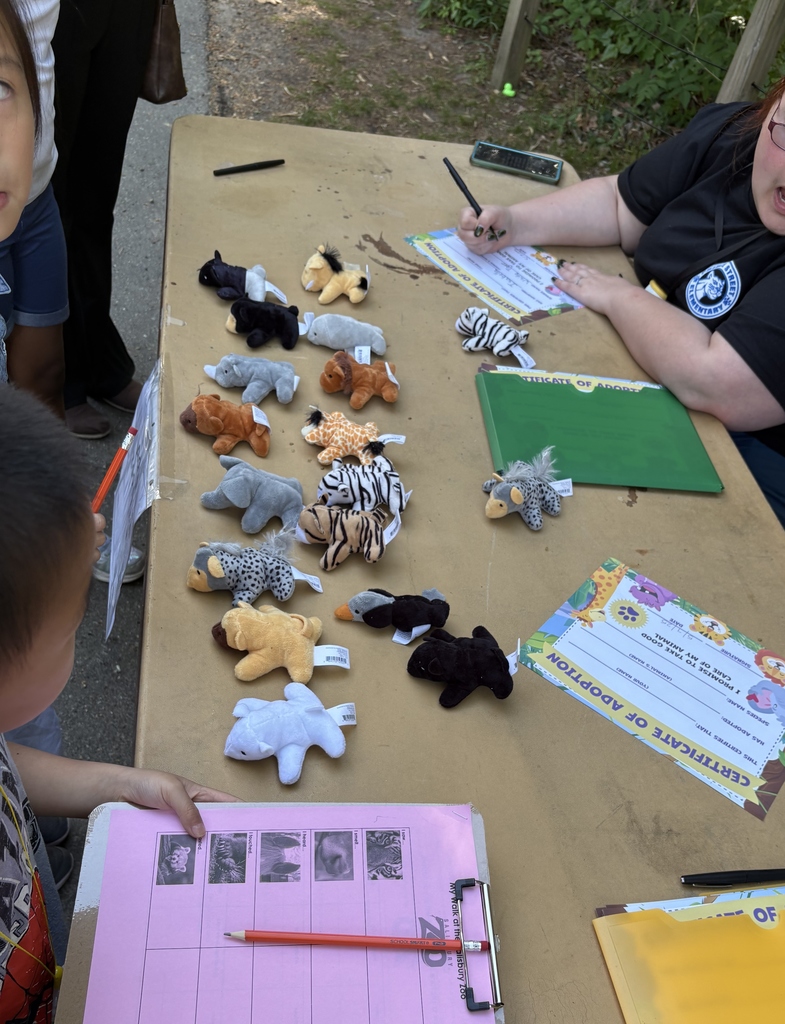 STEM activity at 2025 zoo night.