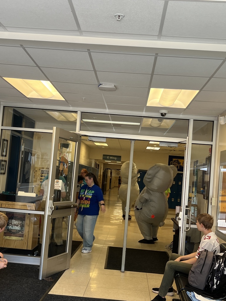 koala admin