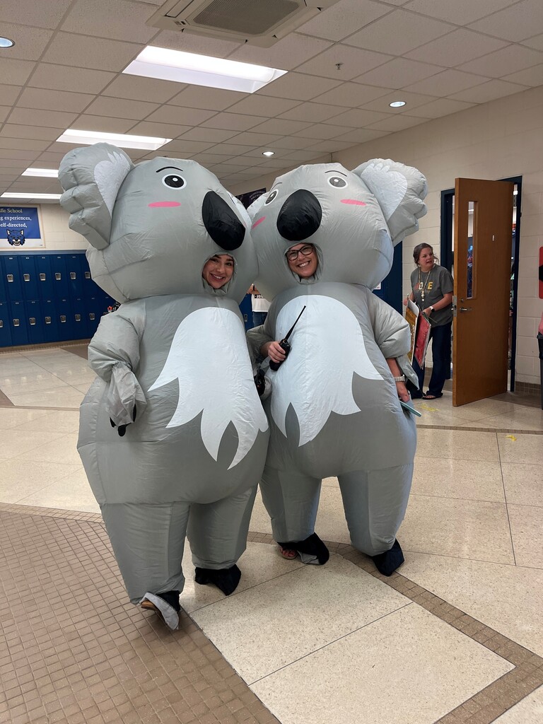 koala admin