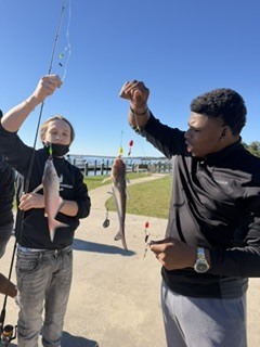 fish
