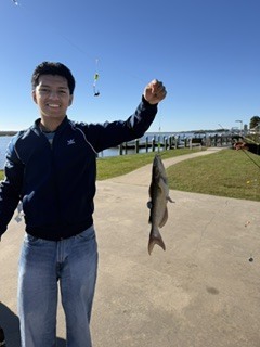 fish