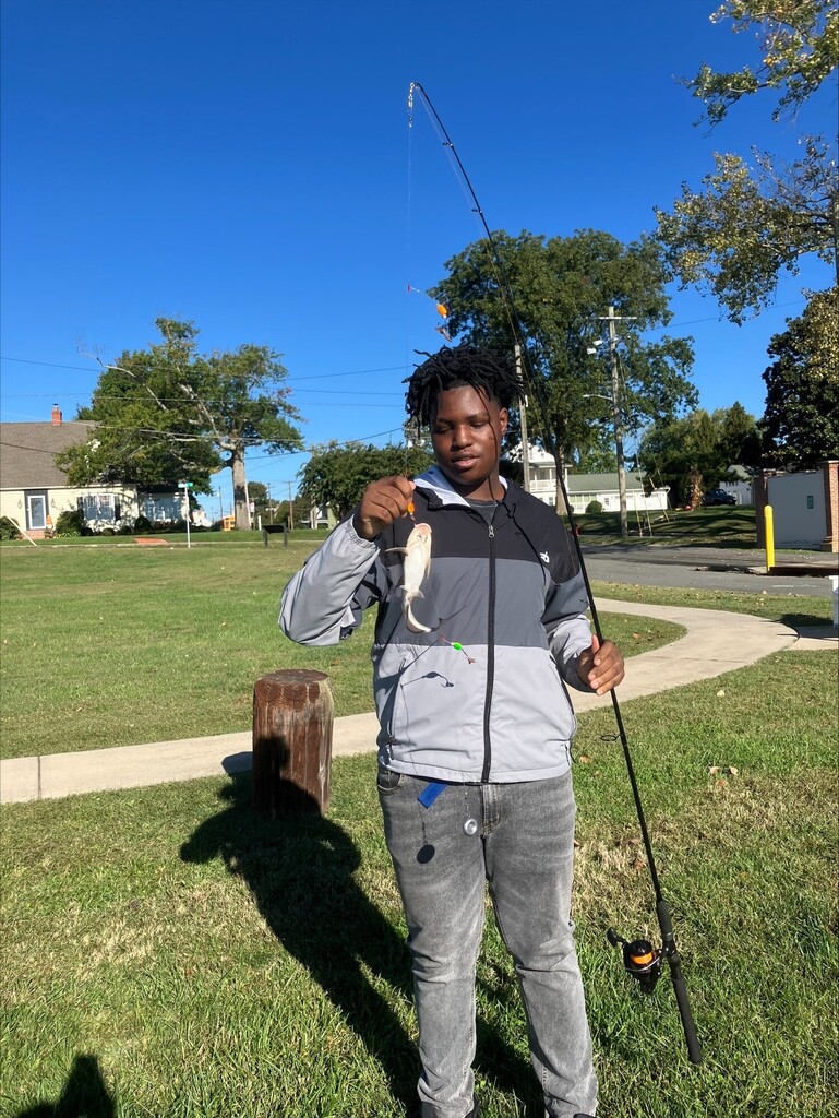 fish