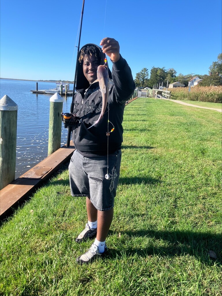 fish