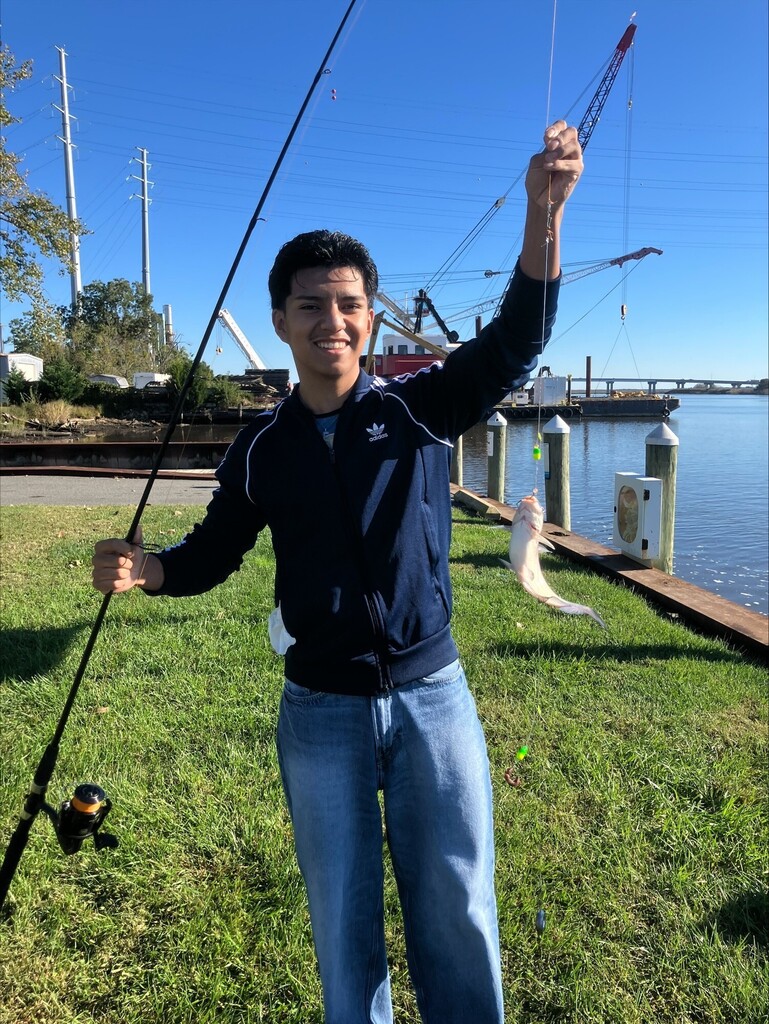 fish