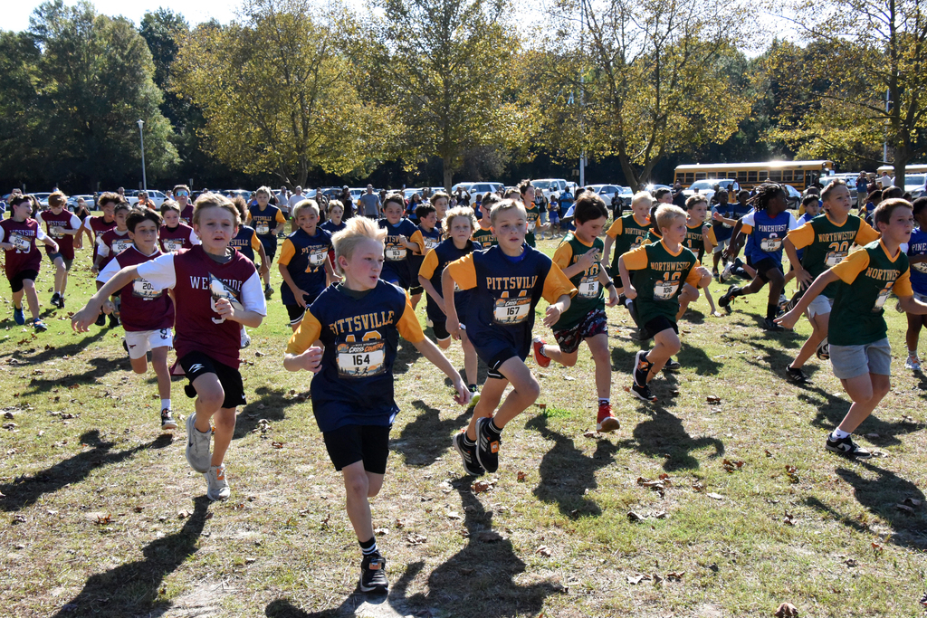 Runner or runners from the 2026 Elementary Cross Country Meet