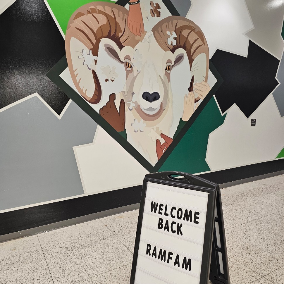 RAM1