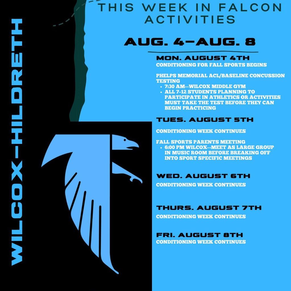 8/4-8/8 Falcon Activities
