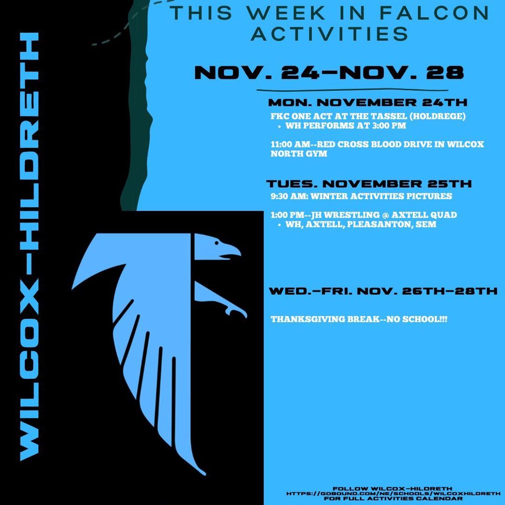 11/24-11/28 Activities