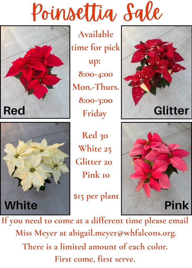 Poinsettia Flyer 2025