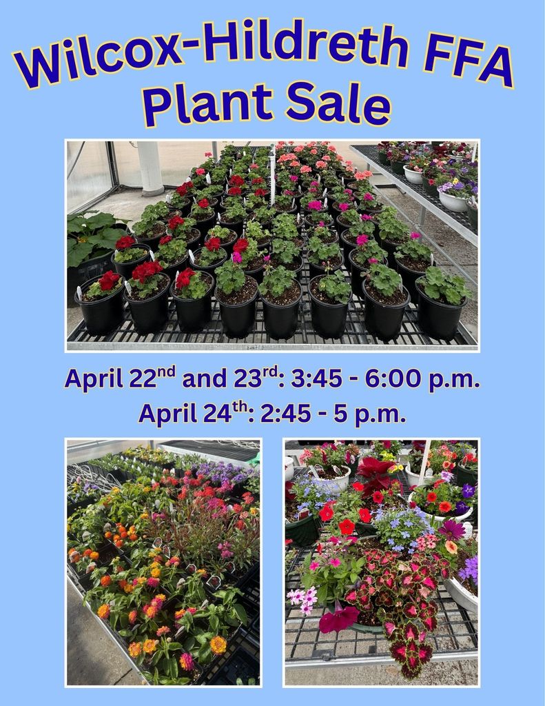 Plant Sale