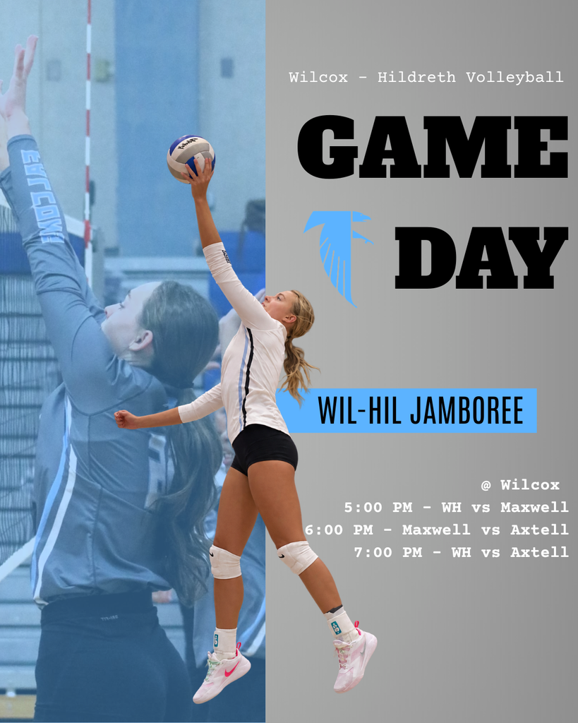 Volleyball Jamboree Triangular Information
