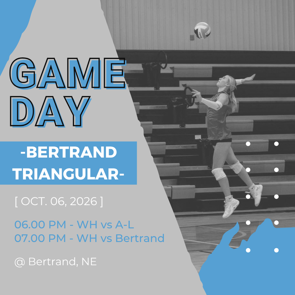 10/6 Bertrand Volleyball Triangular graphic
