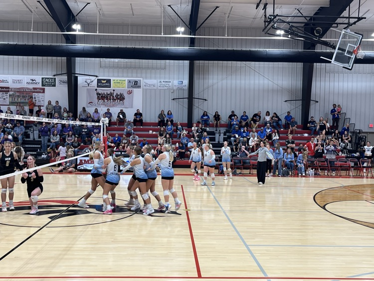 Falcons defeat SEM 2-1