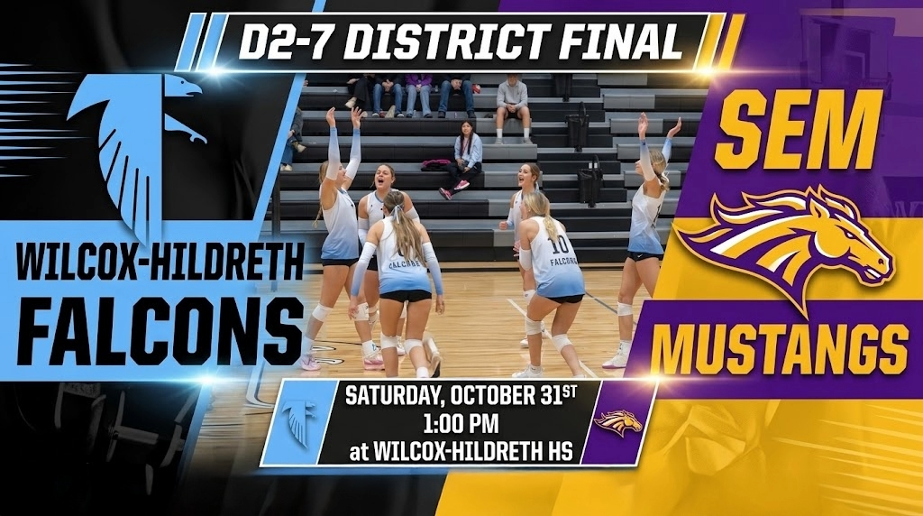 D2-7 Volleyball District Final graphic