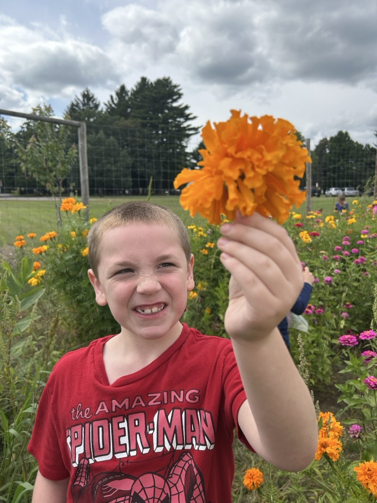 second graders pick flowers in school garden
