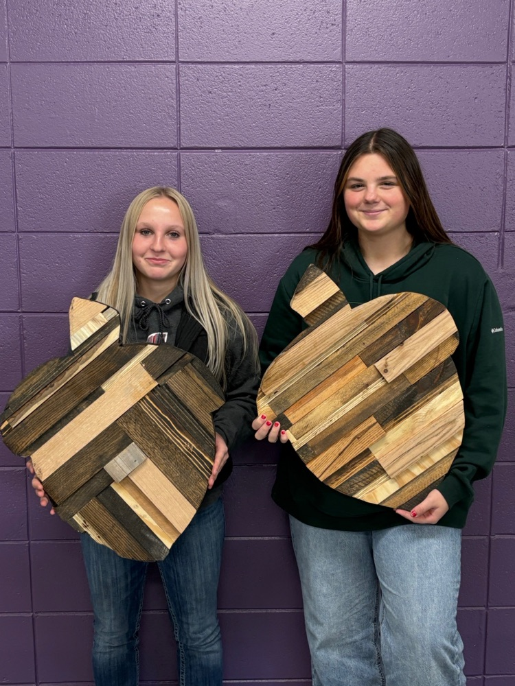 best in class acorn project