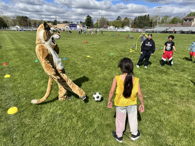 wildcat joins in on elementary field day 