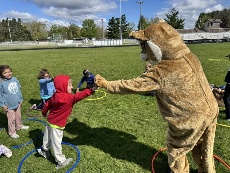 student high fives Wildcat on elementary field day