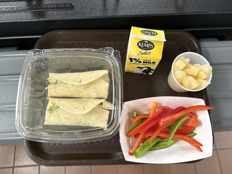 new MS/HS lunch options